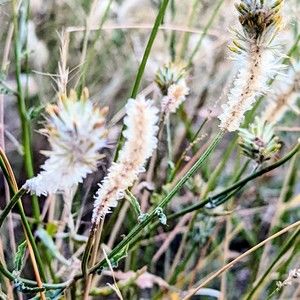 Meet your Posher, Joanna